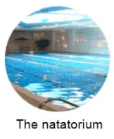 Access Gates and Barriers 3 NDAS NATATORIUM turnstile